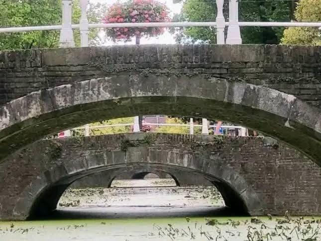 B&B Lange Geer Delft Eksteriør billede